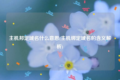 主机邦定域名什么意思(主机绑定域名的含义解析)