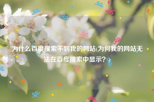 为什么百度搜索不到我的网站(为何我的网站无法在百度搜索中显示？)