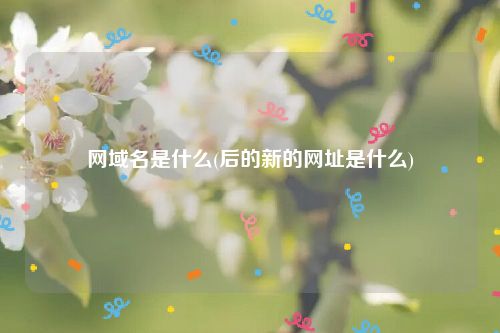 网域名是什么(后的新的网址是什么)