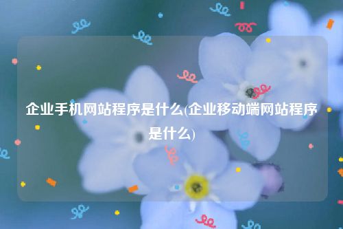 企业手机网站程序是什么(企业移动端网站程序是什么)