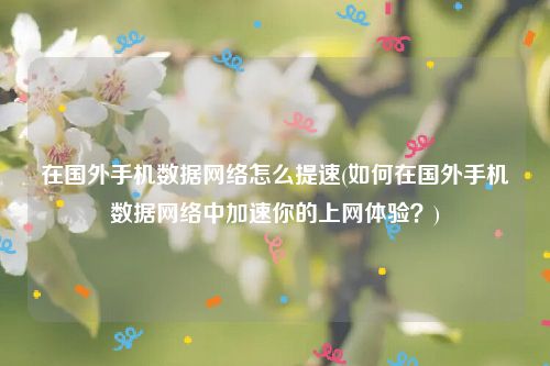 在国外手机数据网络怎么提速(如何在国外手机数据网络中加速你的上网体验？)