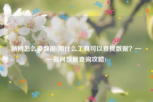 新网怎么查数据(用什么工具可以查找数据？——新网数据查询攻略)