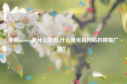 电商banner是什么意思(什么是电商网站的横幅广告？)