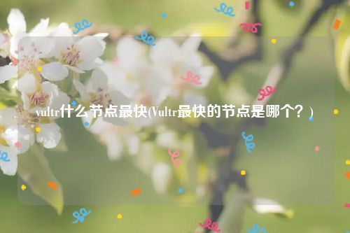 vultr什么节点最快(Vultr最快的节点是哪个？)