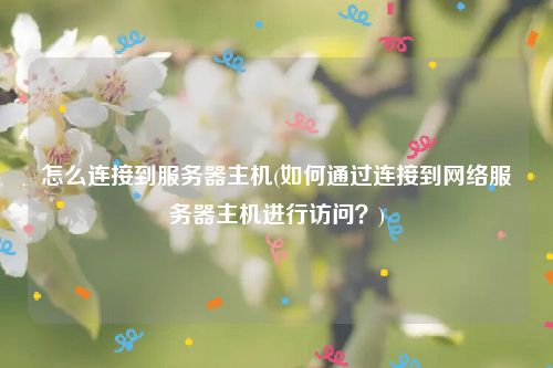 怎么连接到服务器主机(如何通过连接到网络服务器主机进行访问？)