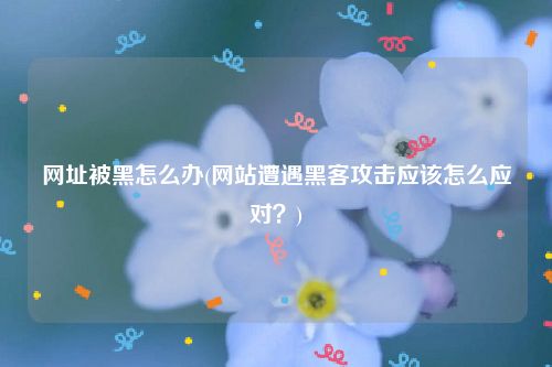 网址被黑怎么办(网站遭遇黑客攻击应该怎么应对？)