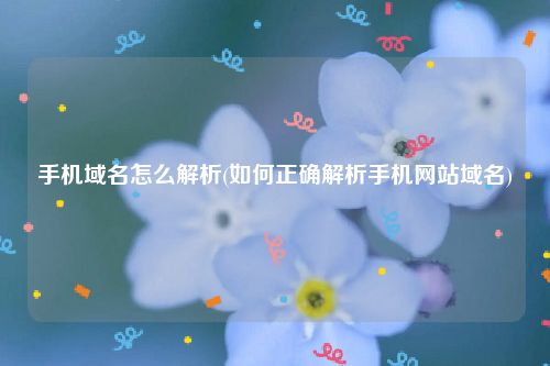 手机域名怎么解析(如何正确解析手机网站域名)