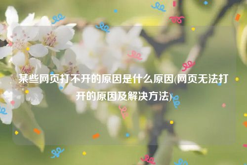 某些网页打不开的原因是什么原因(网页无法打开的原因及解决方法)