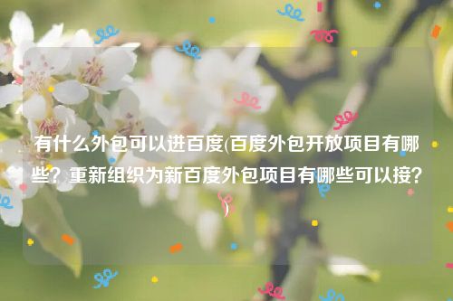 有什么外包可以进百度(百度外包开放项目有哪些？重新组织为新百度外包项目有哪些可以接？)