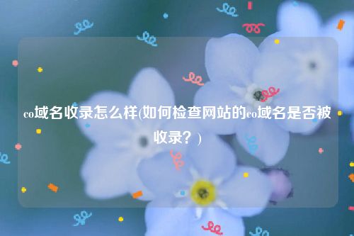 co域名收录怎么样(如何检查网站的co域名是否被收录？)