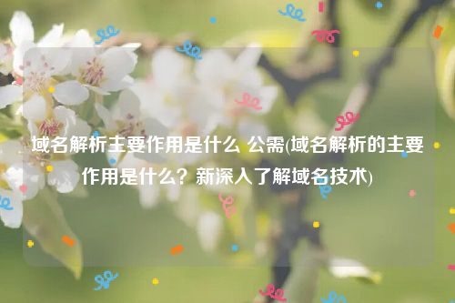 域名解析主要作用是什么 公需(域名解析的主要作用是什么？新深入了解域名技术)