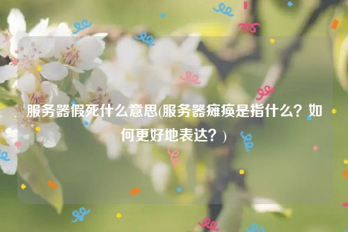 服务器假死什么意思(服务器瘫痪是指什么？如何更好地表达？)