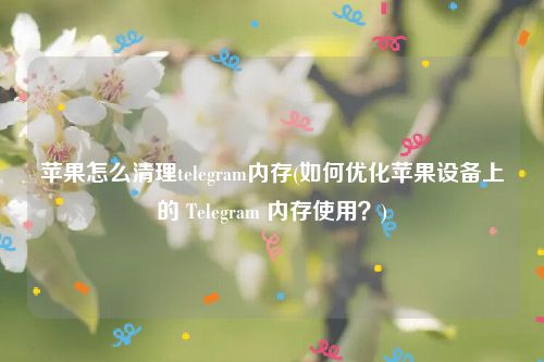 苹果怎么清理telegram内存(如何优化苹果设备上的 Telegram 内存使用？)