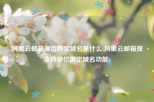 阿里云邮箱微信绑定域名是什么(阿里云邮箱现支持微信绑定域名功能)