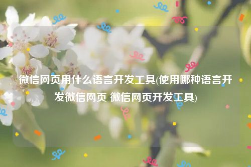 微信网页用什么语言开发工具(使用哪种语言开发微信网页 微信网页开发工具)