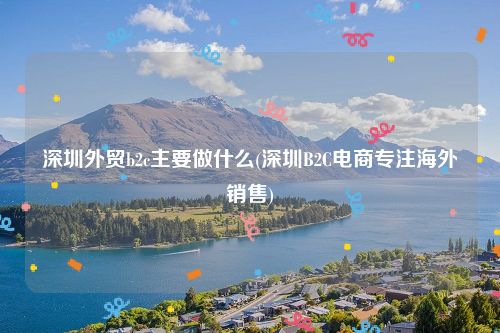 深圳外贸b2c主要做什么(深圳B2C电商专注海外销售)