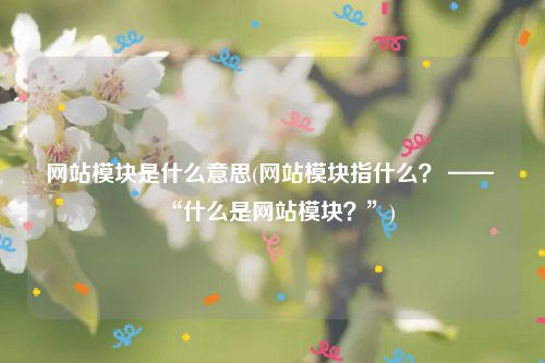 网站模块是什么意思(网站模块指什么？ —— “什么是网站模块？”)