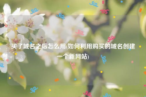 买了域名之后怎么用(如何利用购买的域名创建一个新网站)