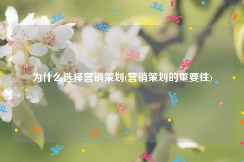 为什么选择营销策划(营销策划的重要性)