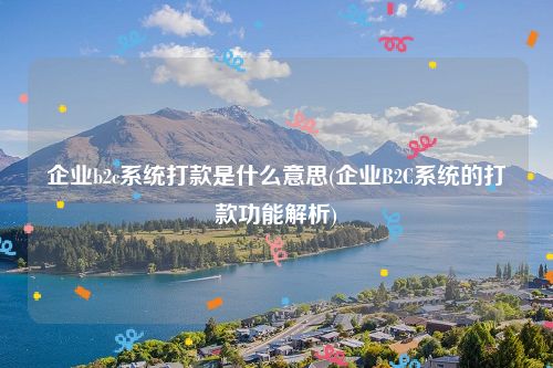 企业b2c系统打款是什么意思(企业B2C系统的打款功能解析)