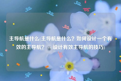 主导航是什么(主导航是什么？如何设计一个有效的主导航？ -- 设计有效主导航的技巧)