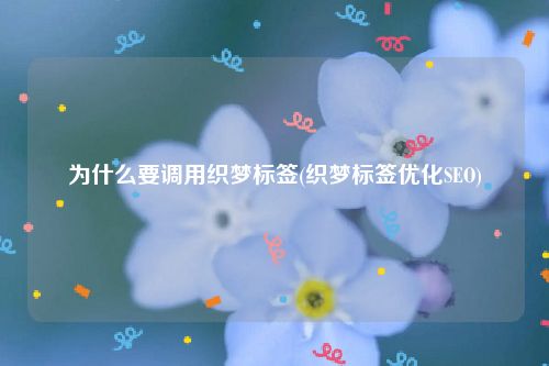 为什么要调用织梦标签(织梦标签优化SEO)