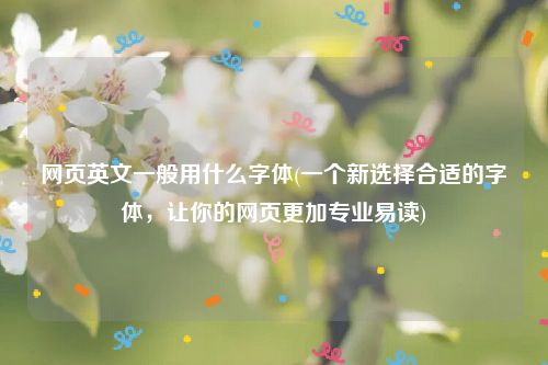 网页英文一般用什么字体(一个新选择合适的字体，让你的网页更加专业易读)