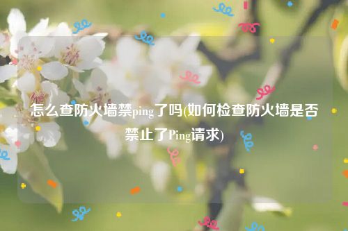 怎么查防火墙禁ping了吗(如何检查防火墙是否禁止了Ping请求)