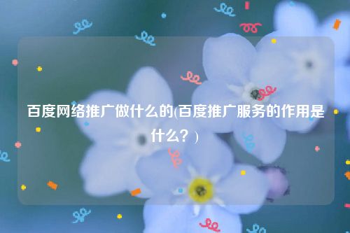 百度网络推广做什么的(百度推广服务的作用是什么？)