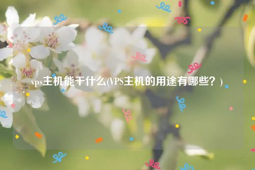 vps主机能干什么(VPS主机的用途有哪些？)