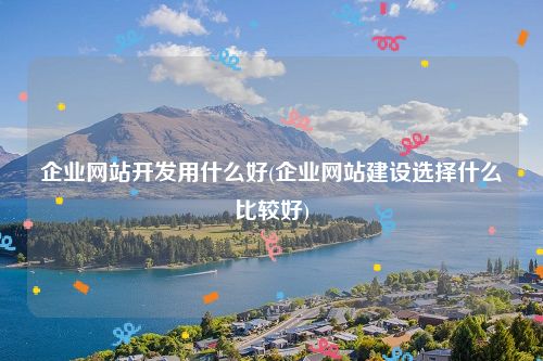 企业网站开发用什么好(企业网站建设选择什么比较好)