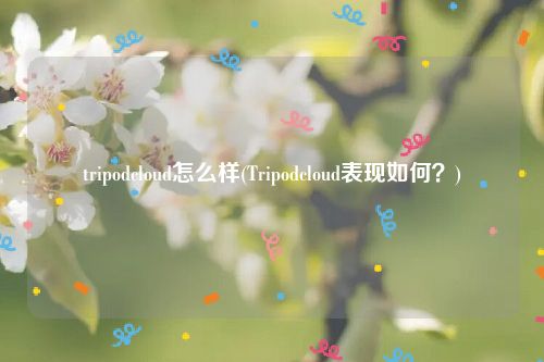 tripodcloud怎么样(Tripodcloud表现如何？)