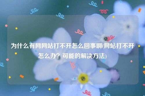 为什么有网网站打不开怎么回事啊(网站打不开怎么办？可能的解决方法)