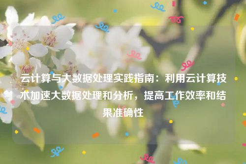 云计算与大数据处理实践指南：利用云计算技术加速大数据处理和分析，提高工作效率和结果准确性