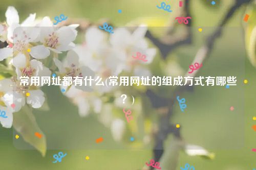 常用网址都有什么(常用网址的组成方式有哪些？)