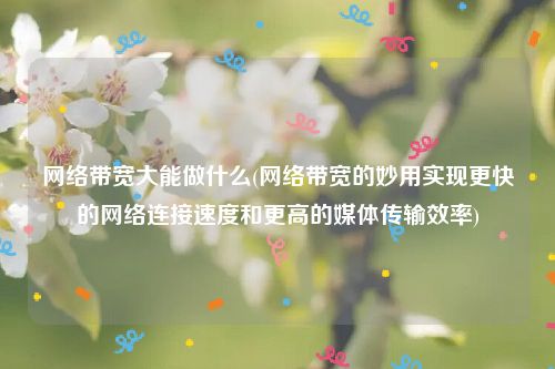 网络带宽大能做什么(网络带宽的妙用实现更快的网络连接速度和更高的媒体传输效率)