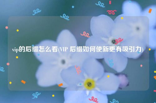 vip的后缀怎么看(VIP 后缀如何使新更有吸引力)