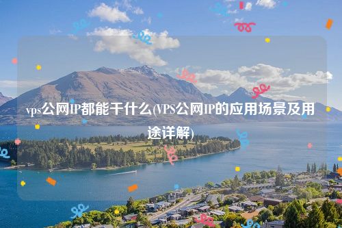 vps公网IP都能干什么(VPS公网IP的应用场景及用途详解)