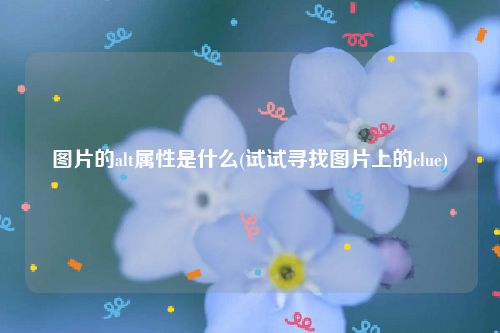 图片的alt属性是什么(试试寻找图片上的clue)