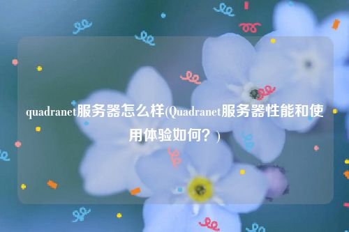 quadranet服务器怎么样(Quadranet服务器性能和使用体验如何？)