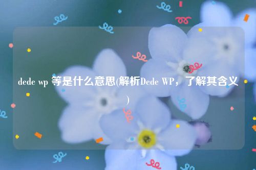 dede wp 等是什么意思(解析Dede WP，了解其含义)