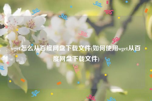 wget怎么从百度网盘下载文件(如何使用wget从百度网盘下载文件)