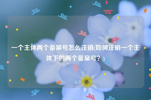 一个主体两个备案号怎么注销(如何注销一个主体下的两个备案号？)