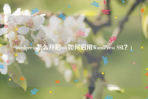 wordpress怎么开启ssl(如何启用WordPress SSL？)