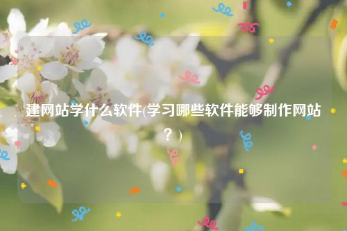 建网站学什么软件(学习哪些软件能够制作网站？)