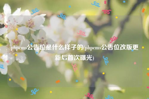 phpcms公告位是什么样子的(phpcms公告位改版更新后首次曝光)