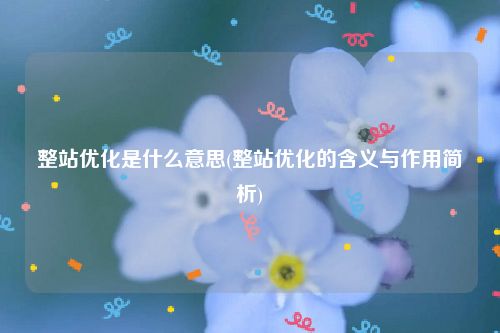 整站优化是什么意思(整站优化的含义与作用简析)