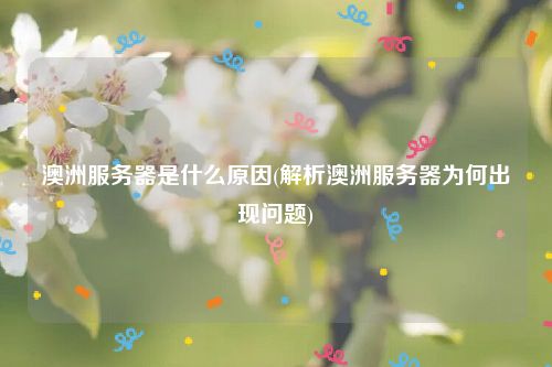 澳洲服务器是什么原因(解析澳洲服务器为何出现问题)