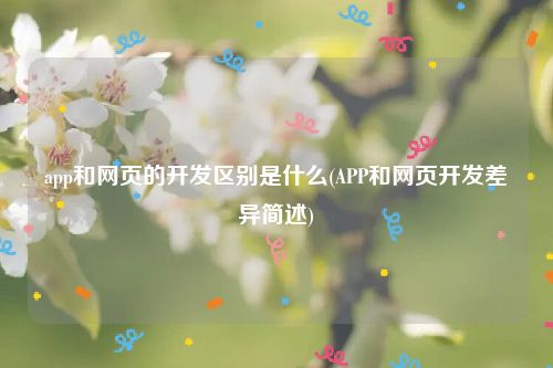 app和网页的开发区别是什么(APP和网页开发差异简述)