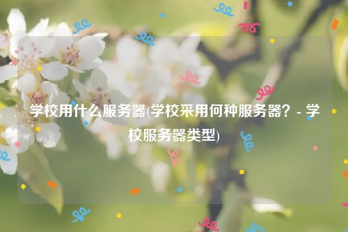 学校用什么服务器(学校采用何种服务器？- 学校服务器类型)